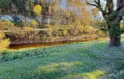 43 Carroll St, Cairo, WV 26337