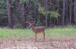 901 DUCK POND, Holly Springs, MS 38635