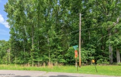 1 Beech Loop, Somerville, TN 38068