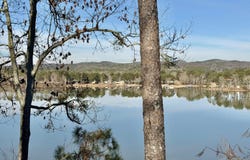 1005 County Road 509, Cedar Bluff, AL 35959
