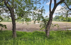 9426 Kennedy Road, Munith, MI 49259