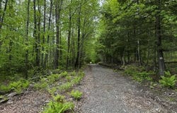 Patterson Bridge Road, Madison, ME 04950