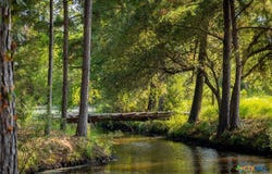 1031 Angel Lake Estates Road, Alleyton, TX 78935