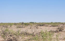 000 SE Aurora & El Mar Road, Deming, NM 88030