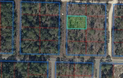 Tbd NE 155TH AVENUE, WILLISTON, FL 32696