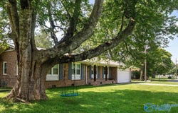 3392 Williams Street, Hokes Bluff, AL 35903