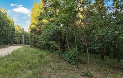 000 Box Hollow, Lebanon, MO 65536