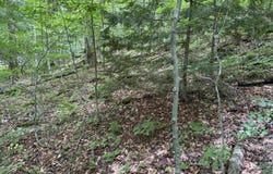 0 Elwell Heights, Wilmington, VT 05363