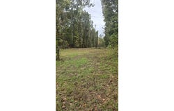CR 100, Walnut, MS 38683