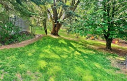 1620 SW Baldwin Drive, Pullman, WA 99163