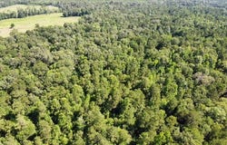 AB 247-2 CR 416, San Augustine, TX 75972