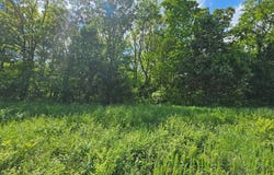 0 Carter 239, Ellsinore, MO 63937