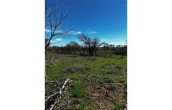 382 High Plains Court, Bellevue, TX 76230