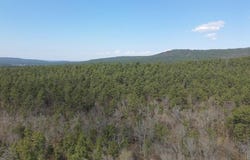 Cold Springs Road, Waldron, AR 72958