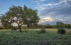 230 Bush Bok DR, Burnet, TX 78611