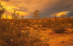Bowman Trail, Joshua Tree, CA 92252
