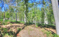 Lot 432 Beryl Court, New Tazewell, TN 37825