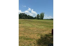 15 Mccabe Road, Spring City, TN 37381