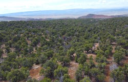TBD County Road 95, Dinosaur, CO 81610