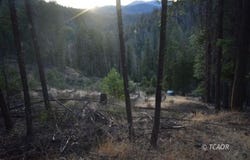 401 Vitzthum  Gulch Rd, Douglas City, CA 96024
