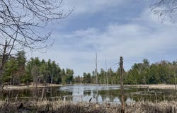 L26.111 Gabriel Road, Corinth, NY 12822