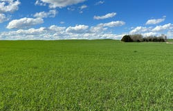 +/- 361 Acres, Keya Paha County, Newport, NE 68759