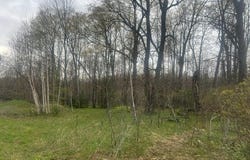 MEMORY Lane, WABENO, WI 54566