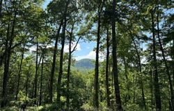 C7 Snowcrest Drive, Glenville, NC 28736