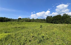 Center Road, Lacona, NY 13083