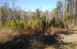 Hemp Street, Robbins, NC 27325