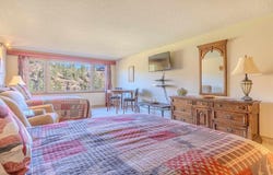 314 N Tamarron Dr, Durango, CO 81301