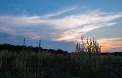 473 CR 3390, Hawkins, TX 75765