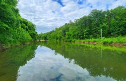 34587 County Road 246, Ava, MO 65608