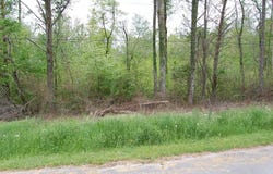 66 51st Avenue, Gruetli Laager, TN 37339