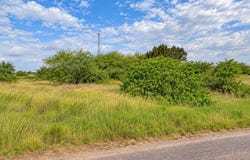 20060 E BROWN TRACT, RIO HONDO, TX 78583