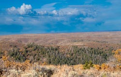 TBD County Road 249, Rifle, CO 81650