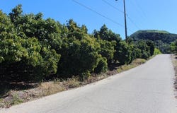 1550 Santa Paula Street, Fillmore, CA 93015