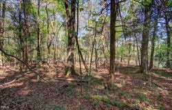 0 Willie Duncan Road, Siler City, NC 27344