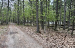 Sweet Fern Lane, Roscommon, MI 48653
