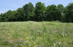 96 Ellsworth Drive, Swanton, VT 05488