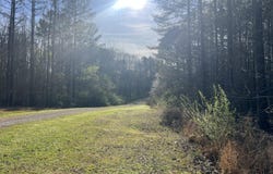 116 Zara Spook Dr Lot 139, Cedar Grove, TN 38321