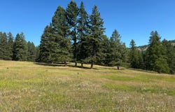 674 Morning View Drive, Kalispell, MT 59901