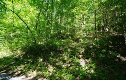 Love Colony Rd, Smithville, TN 37166
