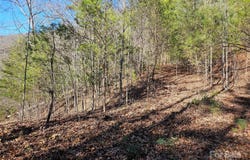Wispy Willow Drive unit: 24T, Waynesville, NC 28785