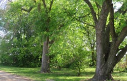 206 Beneke Street, Pocahontas, IA 50574