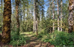 29220 SE Issaquah - Fall City Road, Fall City, WA 98024