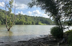 Tbd Roan Creek Road, Butler, TN 37640