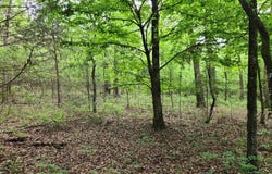 SE 136th Rd. Latimer County Oklahoma, Bengal, OK 74563