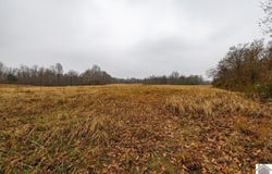 State Route 58 W, Mayfield, KY 42066