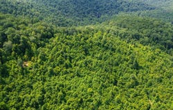 0 Monday Hollow Ln, Duff, TN 37729